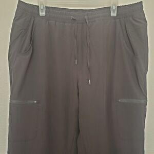 Eddie Bauer Polar Fleece Lined Jogger Pants Women Sz 16 Flannel Cargo Pockets